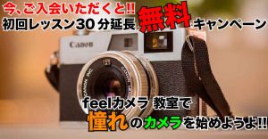 30分無料レッスンカメラ